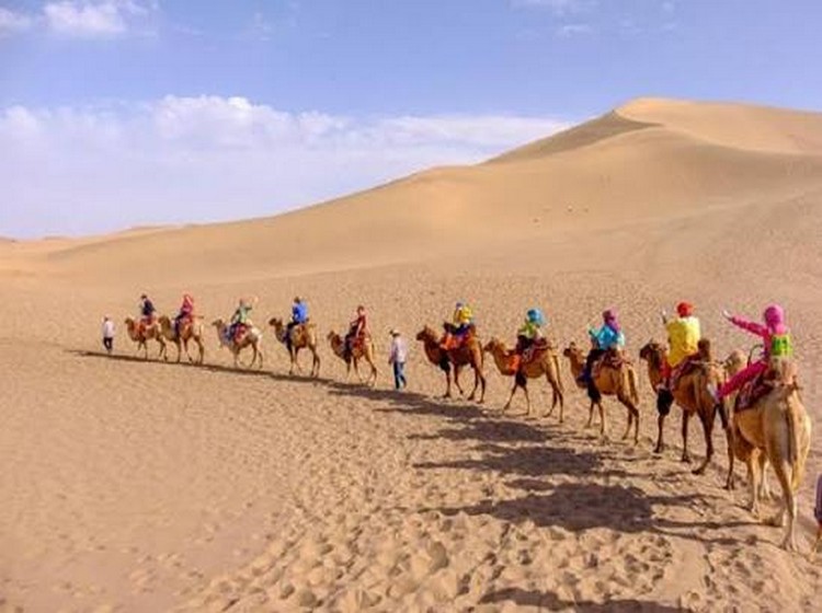 Tour Hà Nội Cam Túc Thanh Hải 8 Ngày 7 Đêm